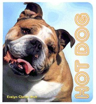 Hardcover Hot Dog Book