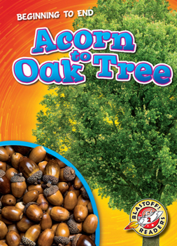 Paperback Acorn to Oak Tree Book