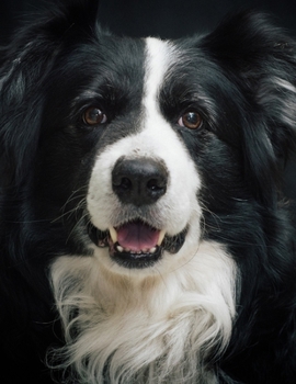 Notebook: Border Collie dog training cute canine Sheepdog trials collies