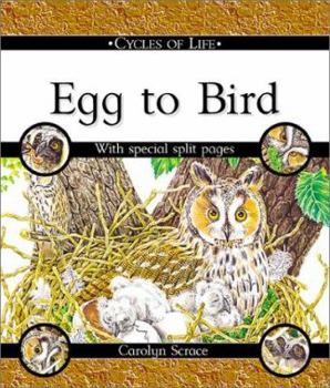 Library Binding Egg to Bird Book