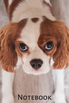 Notebook: Cute Dogs Notebook; Dog Notebook; Puppy Notebook; Dog Breeds Notebook; I Like Dogs More Than People; 6X9inch Notebook with 108-wide lined pages