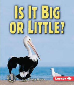 Is It Big Or Little (First Step Nonfiction) - Book  of the Properties of Matter