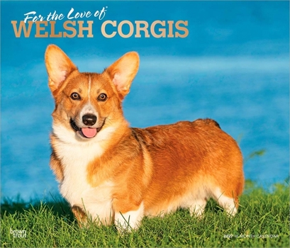 For the Love of Welsh Corgis 2027 14 X 24 Inch (Hanging) Monthly Deluxe Wall Calendar Foil Stamped Cover Plastic-Free