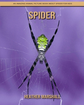 Paperback Spider: An Amazing Animal Picture Book about Spider for Kids Book