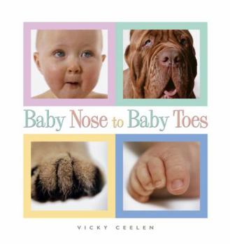 Board book Baby Nose to Baby Toes Book