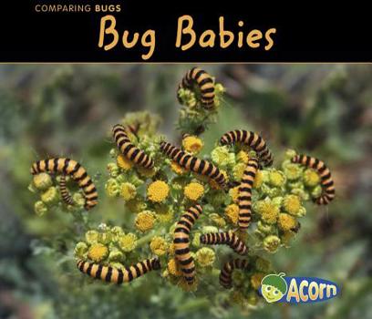 Bug Babies - Book  of the Comparar Insectos