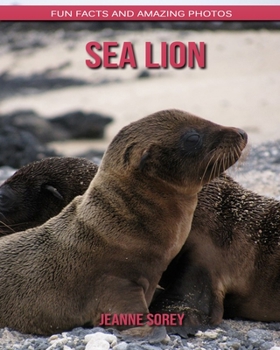 Sea Lion: Fun Facts and Amazing Photos