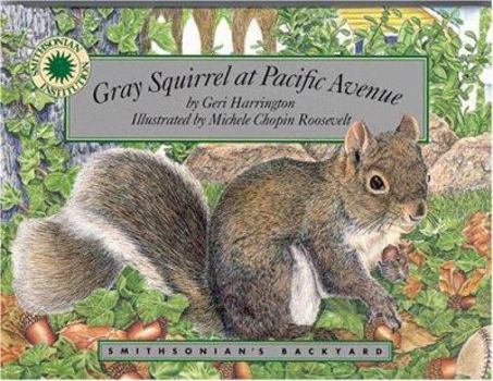 Gray Squirrel at Pacific Avenue - Book  of the Smithsonian's Backyard