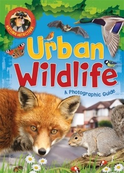 Paperback Nature Detective: Urban Wildlife Book