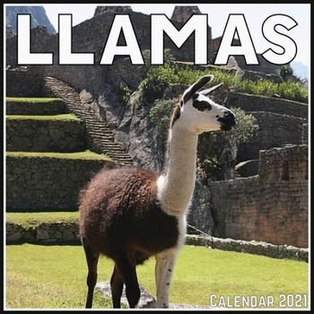 Paperback LLamas Calendar 2021: Official LLamas Calendar 2021, 12 Months Book