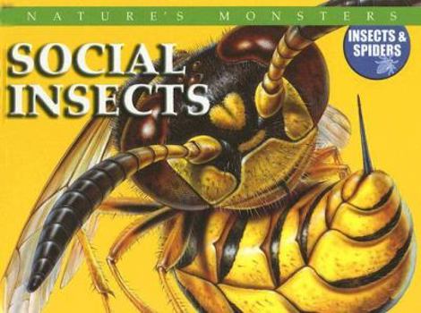 Social Insects - Book  of the Nature's Monsters: Insects & Spiders