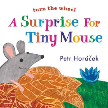 Board book A Surprise for Tiny Mouse Book