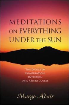 Paperback Meditations on Everything Under the Sun: The Dance of Imagination, Intuition and Mindfulness Book