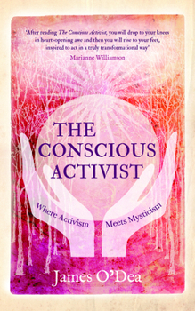 Paperback The Conscious Activist: Where Activism Meets Mysticism Book