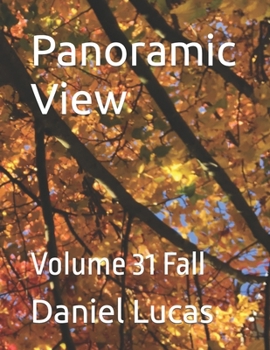 Paperback Panoramic View: Volume 31 Fall Book