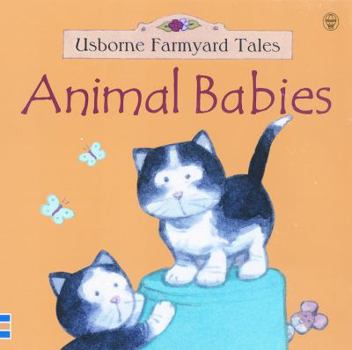 Board book Animal Babies Book