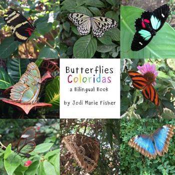 Paperback Butterflies Coloridas Book