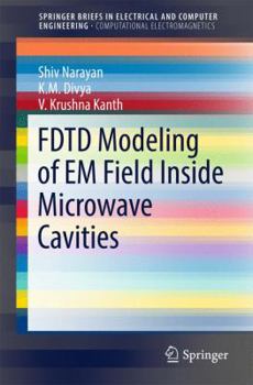 Paperback Fdtd Modeling of Em Field Inside Microwave Cavities Book