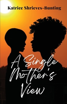Paperback A Single Mother's View Book