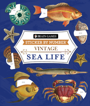 Paperback Brain Games - Sticker by Number - Vintage: Sea Life (28 Images to Sticker) Book