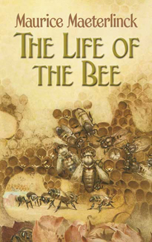 Paperback The Life of the Bee Book
