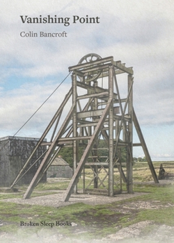 Paperback Vanishing Point Book