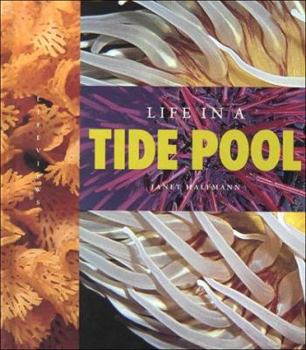 Library Binding Life in a Tidepool Book