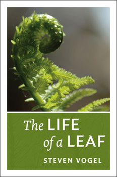 Hardcover The Life of a Leaf Book