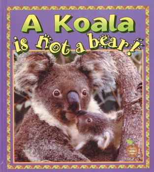 Library Binding A Koala Is Not a Bear! Book