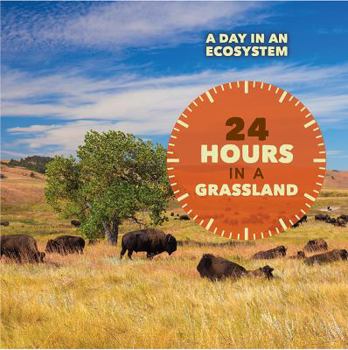 24 Hours in a Grassland - Book  of the A Day in an Ecosystem