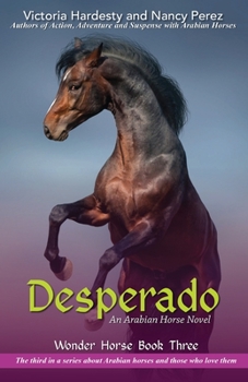 Paperback Desperado Book