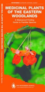 Pamphlet Medicinal Plants of the Eastern Woodlands: A Folding Guide to Familiar Species Book