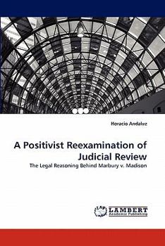 Paperback A Positivist Reexamination of Judicial Review Book