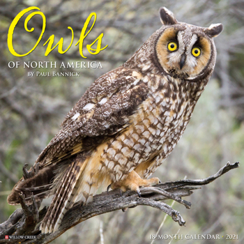 Calendar Owls 2021 Wall Calendar Book