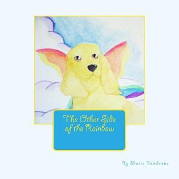 Paperback The Other Side of the Rainbow Book
