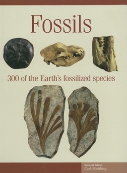 Paperback Fossils: 300 of the Earth's Fossilized Species Book