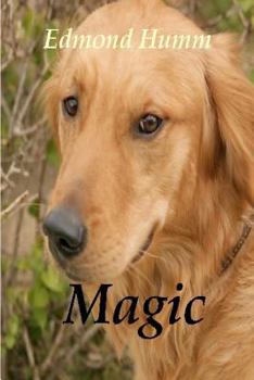 Paperback Magic: The story of a lost dog and a wounded Marine. Book