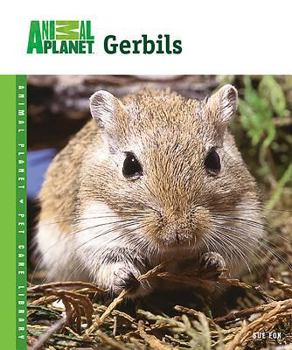 Gerbils - Book  of the Animal Planet Pet Care Library