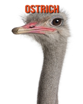 Ostrich: Amazing Facts about Ostrich