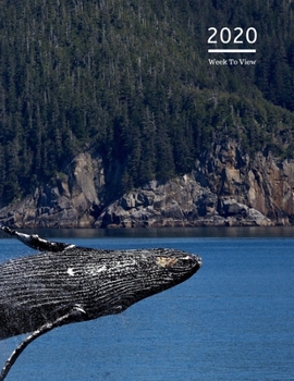 2020 A4 Diary Week To View Planner For All Occasions: | Year Planner For Business, Office, Home, University, College, School, Appointments, Organizer.