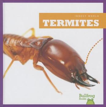 Termites - Book  of the Insects