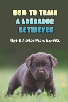 Paperback How To Train A Labrador Retriever: Tips & Advice From Experts: Labrador Puppy Training Schedule Book