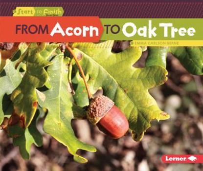 Paperback From Acorn to Oak Tree Book
