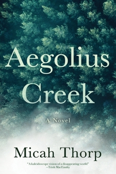 Paperback Aegolius Creek Book