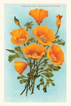 Paperback The Vintage Journal California Poppies Book
