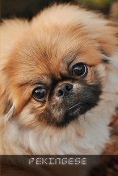 Paperback Pekingese: Complete breed guide Book
