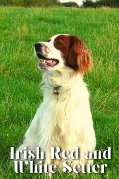 Paperback Irish Red and White Setter: Dog breed overview and guide Book