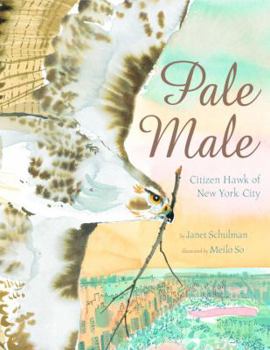 Hardcover Pale Male: Citizen Hawk of New York City Book