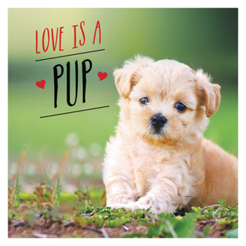 Hardcover Love Is a Pup: A Dog-Tastic Celebration of the World's Cutest Puppies Book