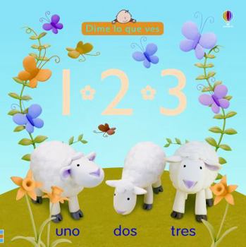 Board book 123 [Spanish] Book